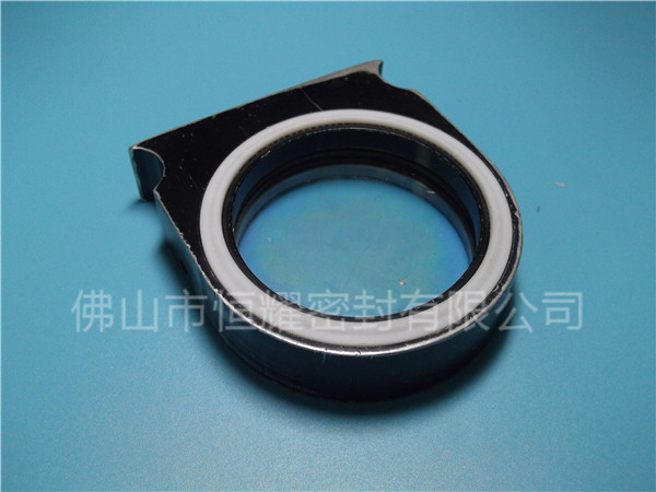 HVF、HVG端面內(nèi)、外向泛塞封 (2)