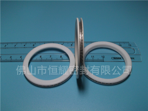 HVF、HVG端面內(nèi)、外向泛塞封 (10)