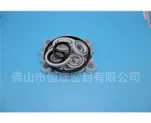 HOB、HVB孔用泛塞封 (6)