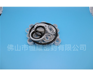 HOB、HVB孔用泛塞封 (7)