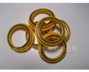 HOD、HVD旋轉(zhuǎn)泛塞封 (9)