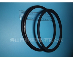 HOD、HVD旋轉(zhuǎn)泛塞封 (15)