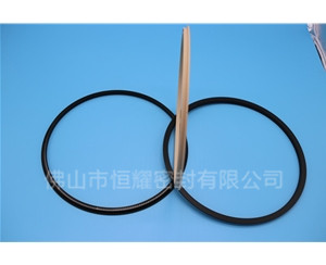 HOD、HVD旋轉(zhuǎn)泛塞封 (18)