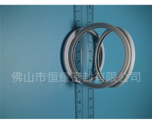 HVF、HVG端面內(nèi)、外向泛塞封 (6)