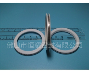 HVF、HVG端面內(nèi)、外向泛塞封 (10)