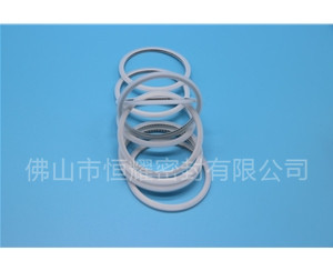 HVF、HVG端面內(nèi)、外向泛塞封 (15)
