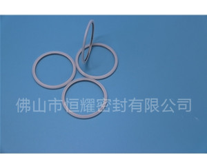 HVF、HVG端面內(nèi)、外向泛塞封 (20)