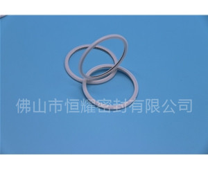 HVF、HVG端面內(nèi)、外向泛塞封 (21)