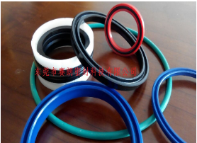彈簧蓄能密封圈